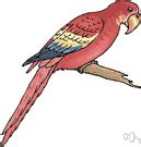 parotting|Parroting: meaning, definitions and examples.